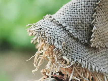 Falling Asleep to the Wizard of Oz: Chapters 5 & 6