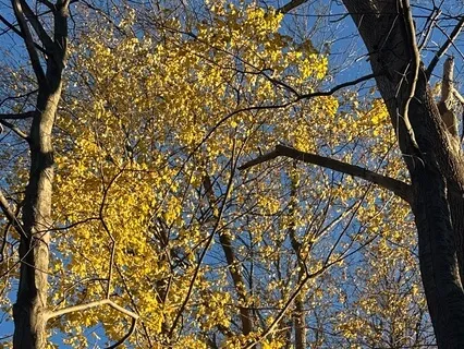 Falling Back And Finding Stillness