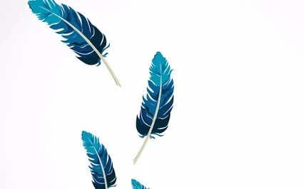 Falling Back To Earth