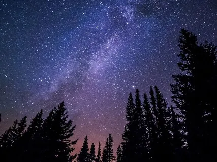 Falling Back To Sleep