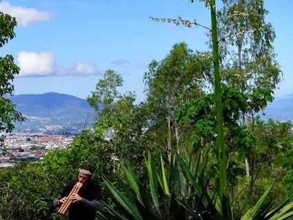 Falling In Love With Life As It Is