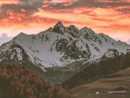 Falling Leaves At Twilight