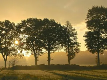 Falling Light, Rising Calm