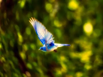 Falling or Flying Meditation