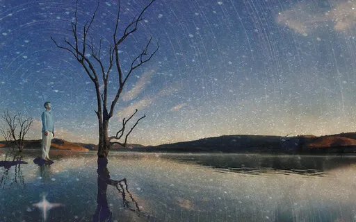 Falling Upwards (By Gotama & Mooji)