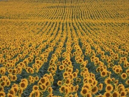 False Assumptions - Are You Basing Your Important Decisions On Them?