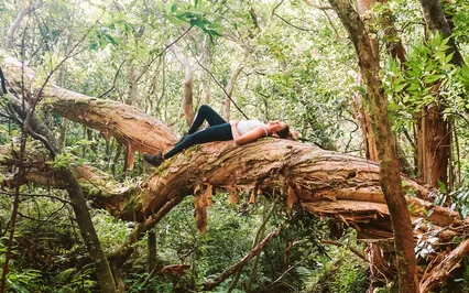 False Belief Release - Timeline Therapy