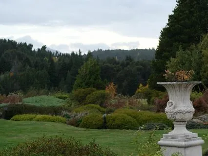 Family Constellation: Attracting Compatible Romantic Partner