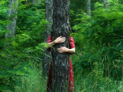 Family Constellations: Connect With Ancestral Strength