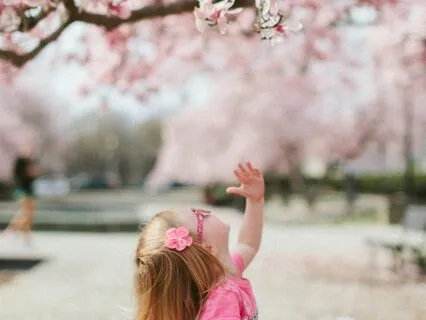 Family Mission Statement