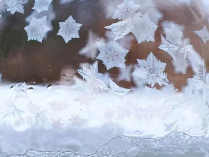 Family Overwhelm: Boundary Bubble