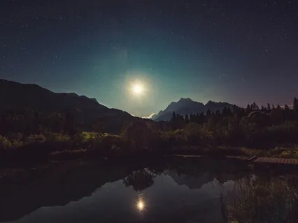 Fantastical Night In The Enchanted Forest: Sleep Story