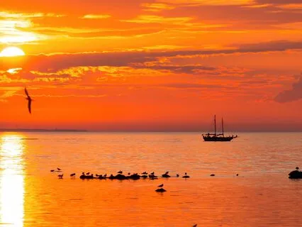 Fantasy Guided Sleep Story "The Sea Haven"