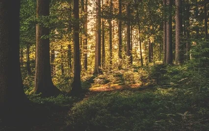 Fantasy Land: Time Waits For No Man (Sleep Story With SFX)