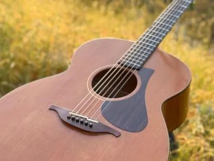 Farewell Guitar Arrangement