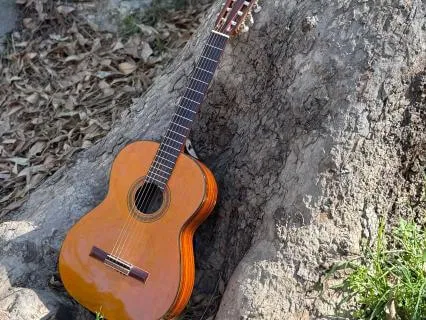 Farewell Nylon Guitar