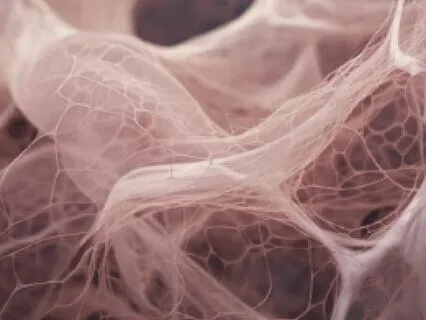 Fascial Meditation For Deep Release