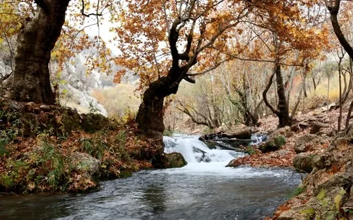 Fast Flowing Stream - Ultimate White Noise