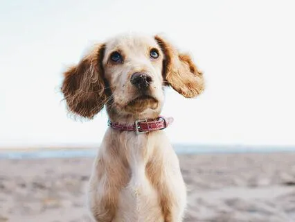 Fastest Way Out Of A Funk