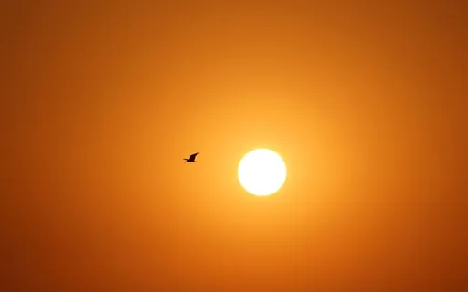 Fast Reality Shift - Blessed Manifestation Acceleration