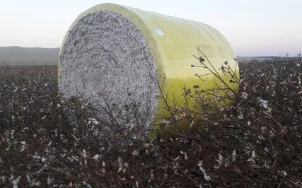 Fasting 1 Of The Month