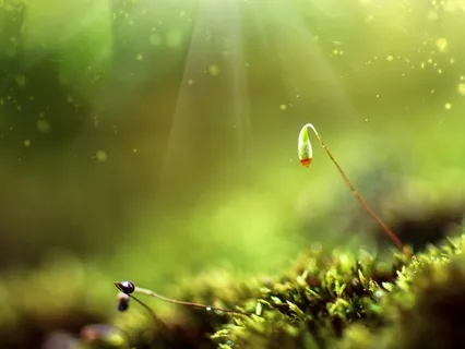 הקורונה פותחת לנו אפשרות להיכנס פנימה ולעשות את הדברים שתמיד רצינו לעשות אבל אף פעם לא היה לנו זמן.  