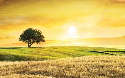 Father Come (The Worshipper's Prayer)