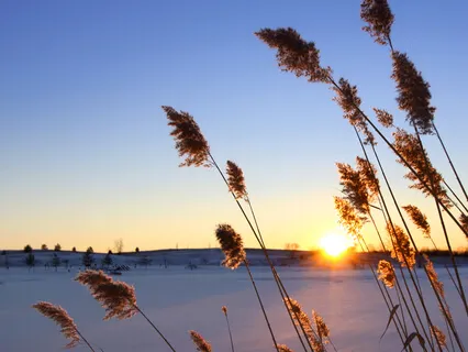 Father Wound Healing 