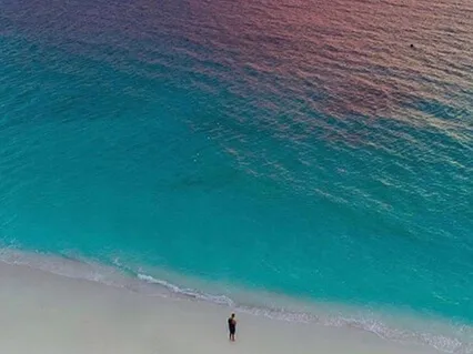 Fear Enters Your Mind, Your Mind Takes It & Runs With It 