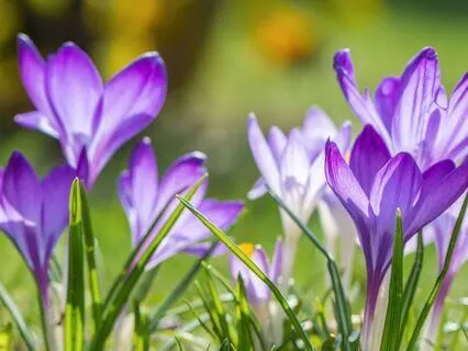 Fear And Fearlessness