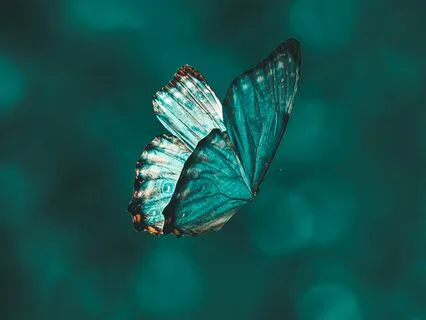 Fear: Obstructive Or Instructive?