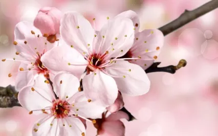 Fear Of Change Meditation