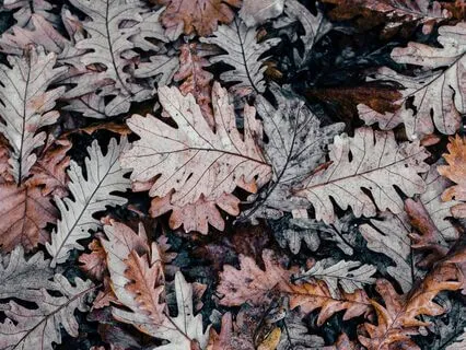 Fear Of Death Inquiry - (Please Read Warning)