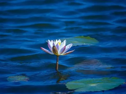 Fear Of Failure: Release To Embrace