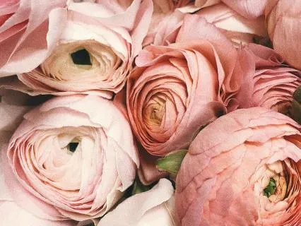 Fear Or Intuition? Learning To Trust Your Inner Yes