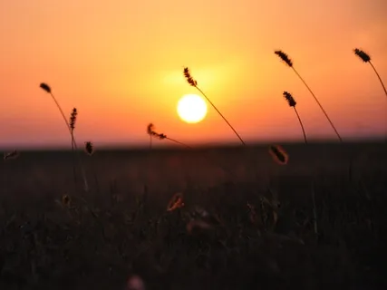 Release Fear With Archangels Michael & Metatron