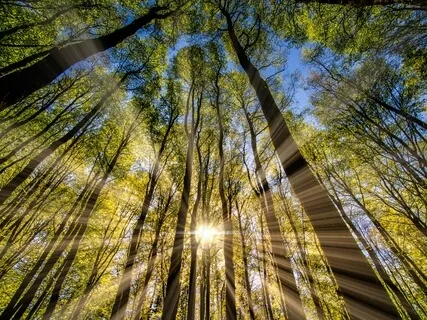 Fear Releasing Practice (The Micro Method)