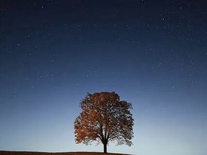 Fear Releasing Practice