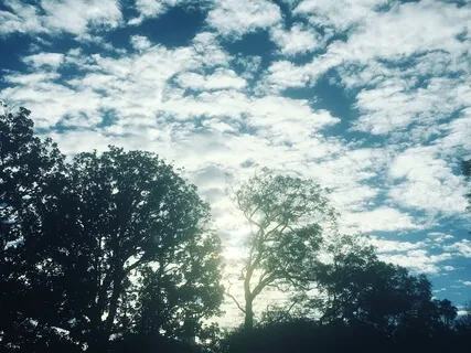 Fearful Thought Releaser Meditation