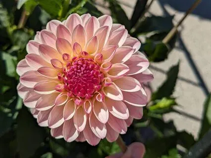 Fearless | Mindful Motivation