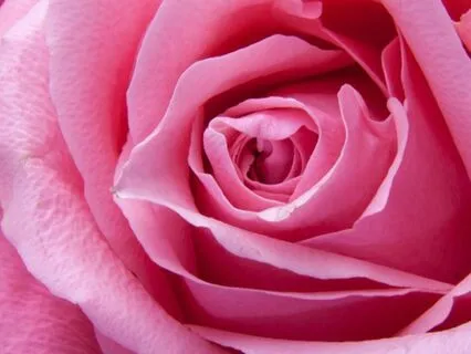 Fearlessly Serving Love