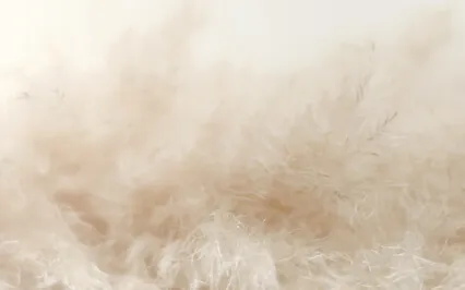 Feather - 10 Min Sound Meditation