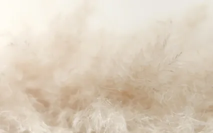 Feather - 15 Min Sound Meditation