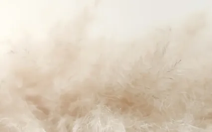 Feather - 5 Min Sound Meditation