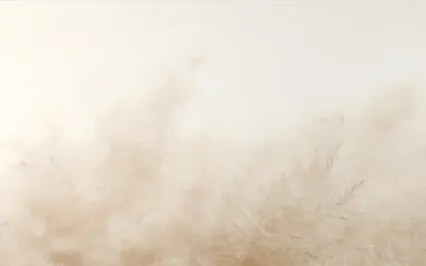 Feather - 60 Min Sound Meditation