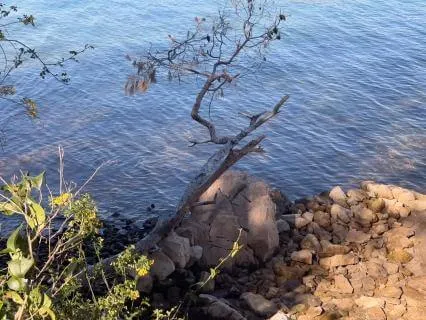 Calming Sound For Anxiety & Emotional Release