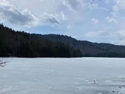 February 2025 Oracle Reading