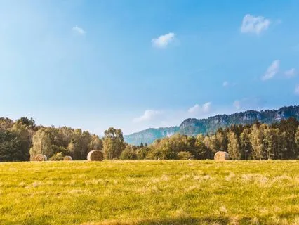 February 2026 Psychic Forecast