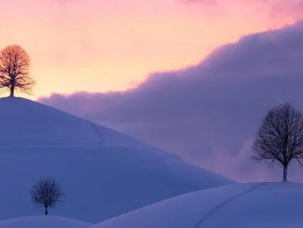 February Ascension Forecast :  Radiance, Renewal & Vision