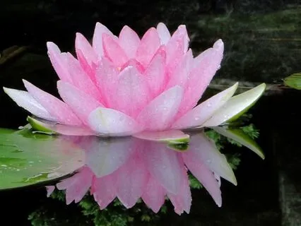 February Forecast From The I-Ching